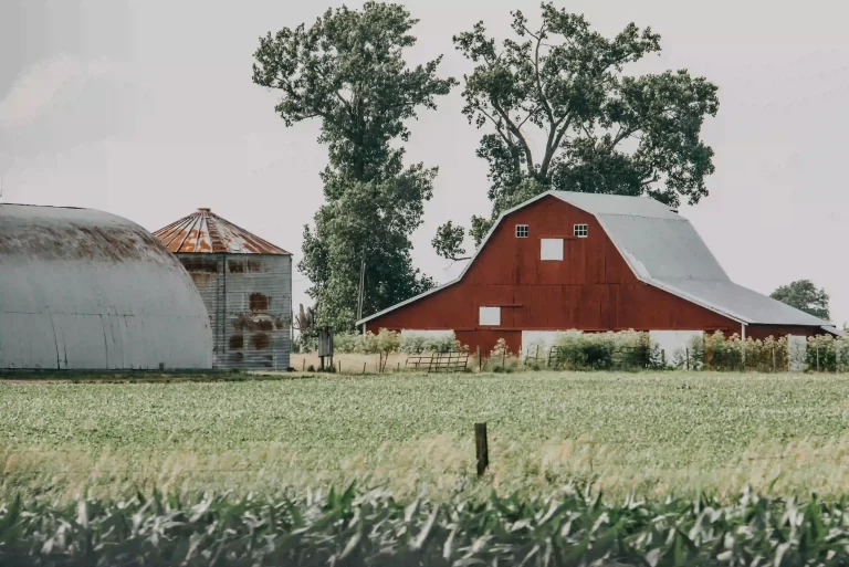 Barn Metal