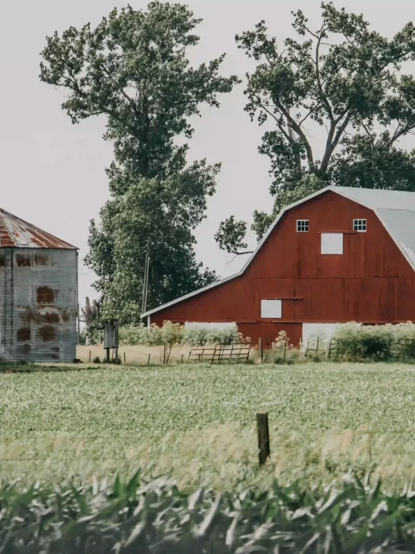 Barn Metal